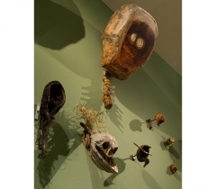 exhibition-views-29-Foam-2015-16