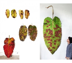 exhibition-views-38-Rento-Brattinga-2016