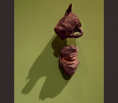 Bush-of-Ghosts-Foam-expo-Paul-Bogaers-50